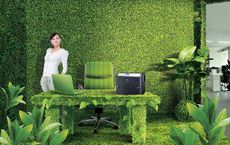 Discovering the Best Indoor Plants for Modern Offices