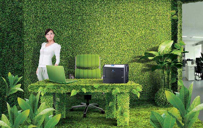 Discovering the Best Indoor Plants for Modern Offices